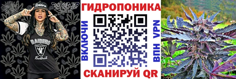 Где можно купить наркотики Тбилисская Гашиш  А ПВП  Галлюциногенные грибы  Кокаин  Мефедрон  АМФ 